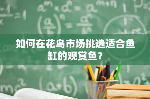 如何在花鸟市场挑选适合鱼缸的观赏鱼？