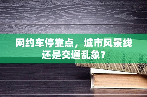 网约车停靠点，城市风景线还是交通乱象？