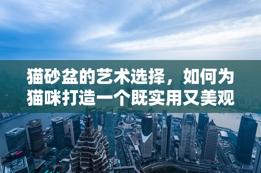 猫砂盆的艺术选择，如何为猫咪打造一个既实用又美观的如厕空间？