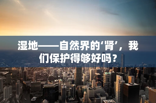 湿地——自然界的‘肾’，我们保护得够好吗？