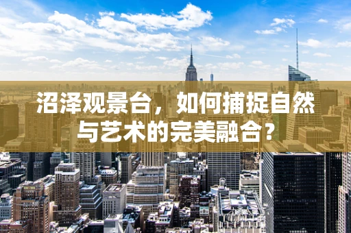 沼泽观景台，如何捕捉自然与艺术的完美融合？