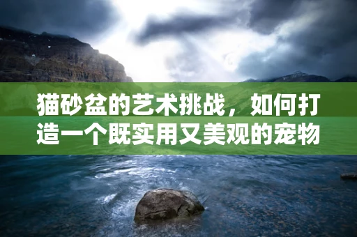 猫砂盆的艺术挑战，如何打造一个既实用又美观的宠物空间？