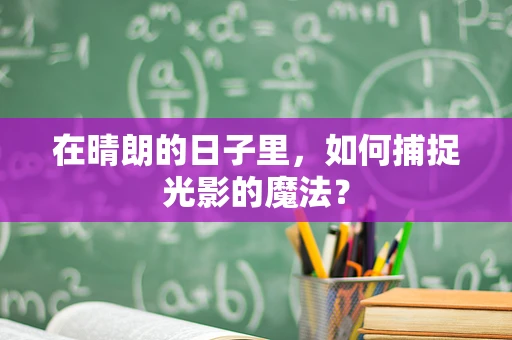 在晴朗的日子里，如何捕捉光影的魔法？