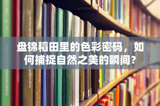 盘锦稻田里的色彩密码，如何捕捉自然之美的瞬间？