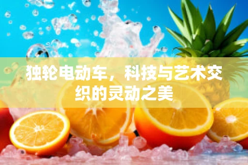 独轮电动车，科技与艺术交织的灵动之美